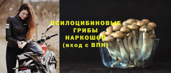 a pvp Корсаков