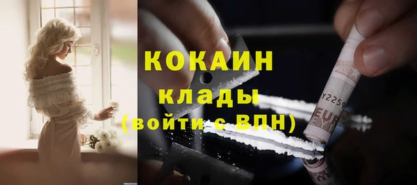 герыч Пересвет
