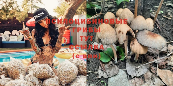 соль курить ск Красноперекопск