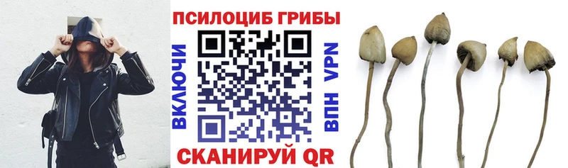 МЕГА ТОР Новокубанск Псилоцибиновые грибы MAGIC MUSHROOMS