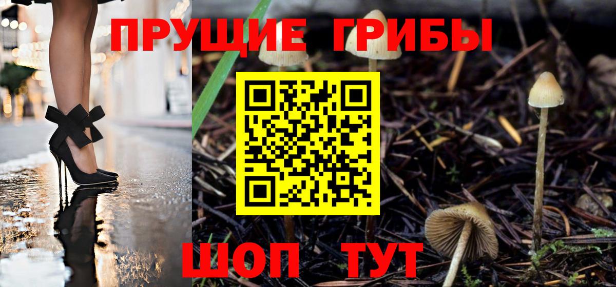 Галлюциногенные грибы Psilocybine cubensis  как найти   Новокубанск  Вход с VPN  Галлюциногенные грибы мицелий 