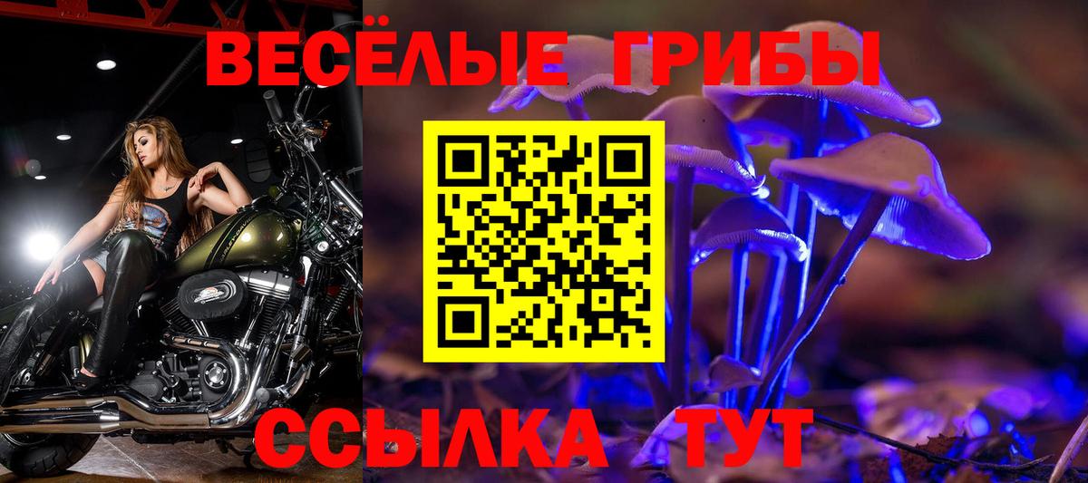 Псилоцибиновые грибы прущие грибы Новокубанск